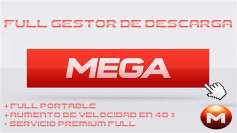 servidor mega.